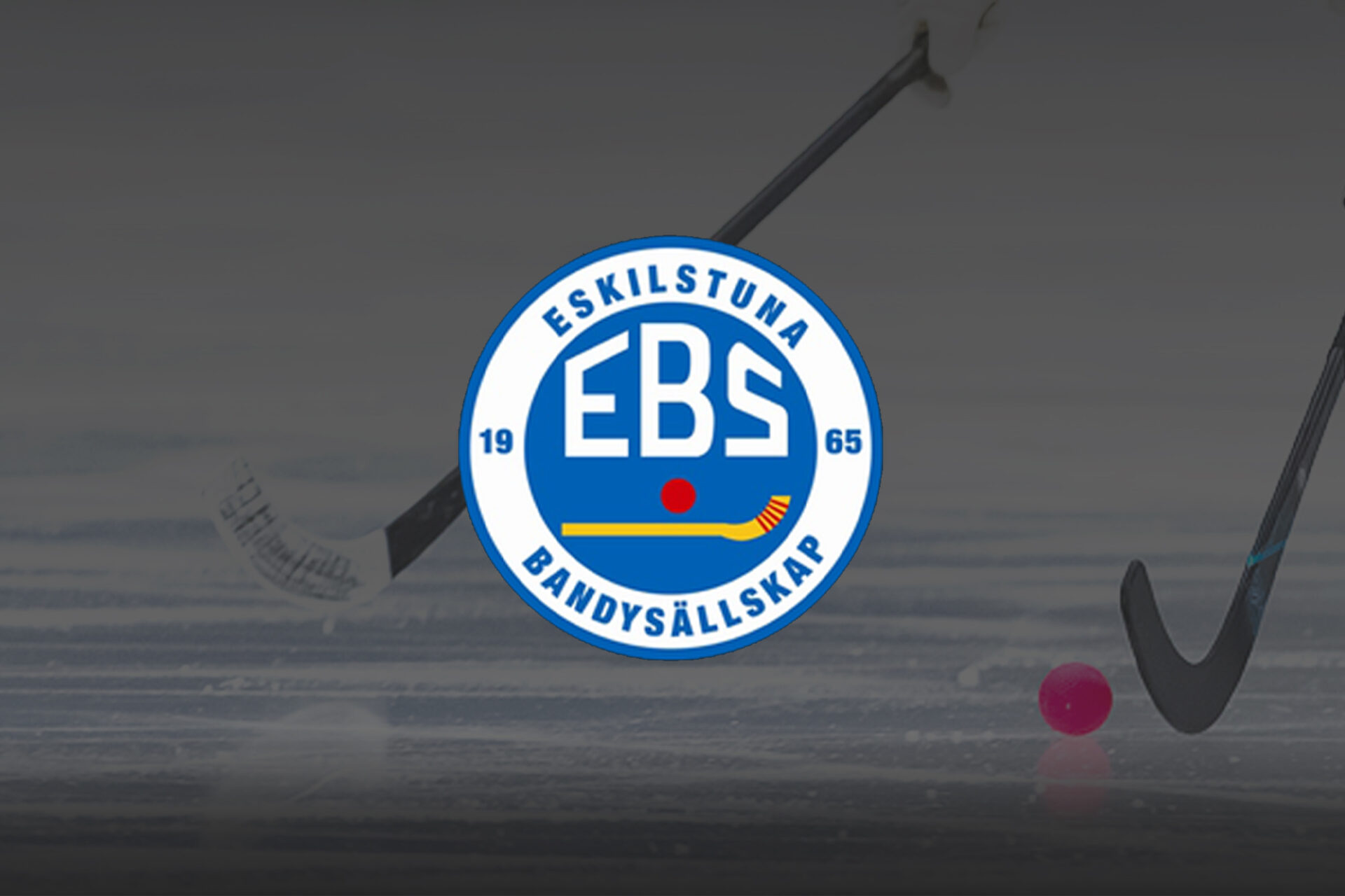 Eskilstuna Bandysällskap